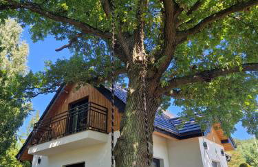 Dom wakacyjny Kubuś Wicko Ferienwohnung Misdroy Insel Ostsee - Foto 55