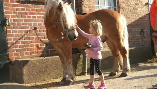 Ferienhof Utech - Foto 2