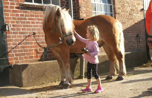 Ferienhof Utech - Foto 2