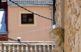 Domus Lapidis - Ibera - Foto 25