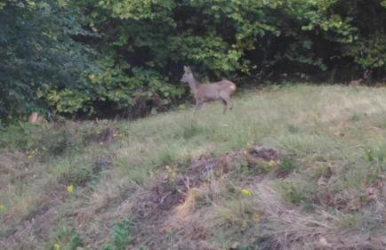 Baita Figliezzi - Foto 52