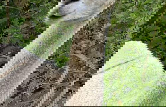 Oak Cottage - Foto 34