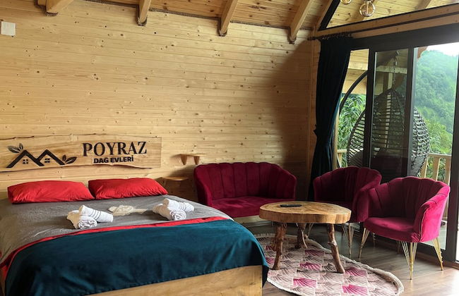 Poyraz Dağ Evleri - Foto 11