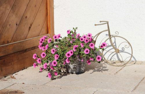 Appartementhaus Schirsner - direkt am See & am Kurpark - Foto 49