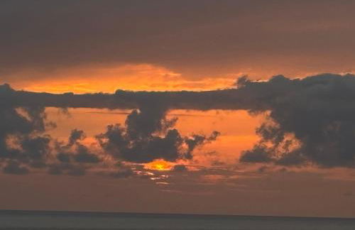 Bela Vigia - Foto 44