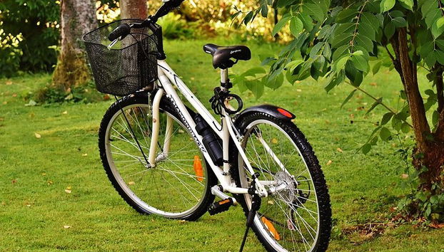 East Bank of Louxor à vélo - Photo 2