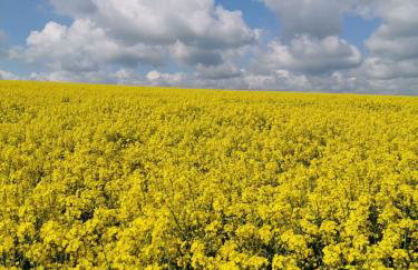 Apartament Pod Dębiną - Foto 12