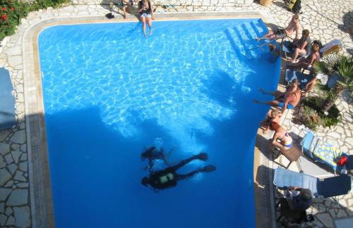 Golden Star - Foto 29