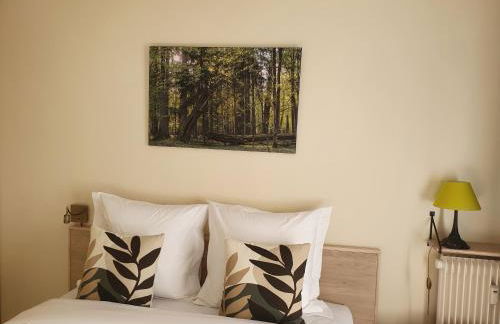 Chemin vert - Photo 7