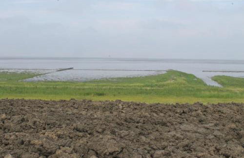 Deichstube - Foto 33