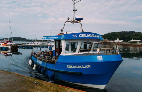 Tawny Owl Pod with Hot Tub - Foto 68