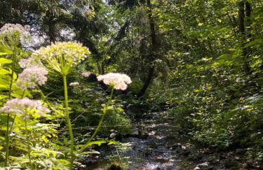 Domek w Gorcach - Foto 23