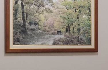 Δ5-Τα διαμερίσματα του δασκάλου - Foto 28