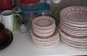 Nascer do Bosque - Photo 13