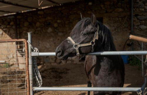 Avocado Villas - Foto 31