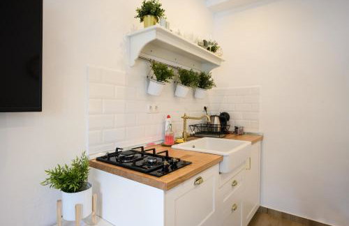 Mila and Jurija Formenti 2 apartments in heart of nautic marina, with heated swimming pool May till October, bikes, Sup, kajak, free parking in our garden - Photo 13