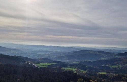 Sauna, Pools mit XXL-Terasse oder Kinderkino - Foto 62