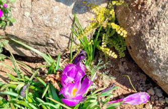 Gite le grenier du roc - Foto 12