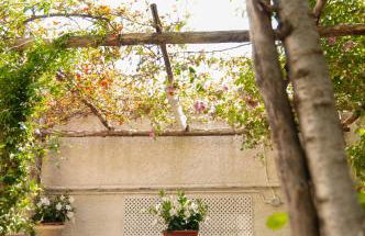 Casa Teresinella Garden - Photo 41