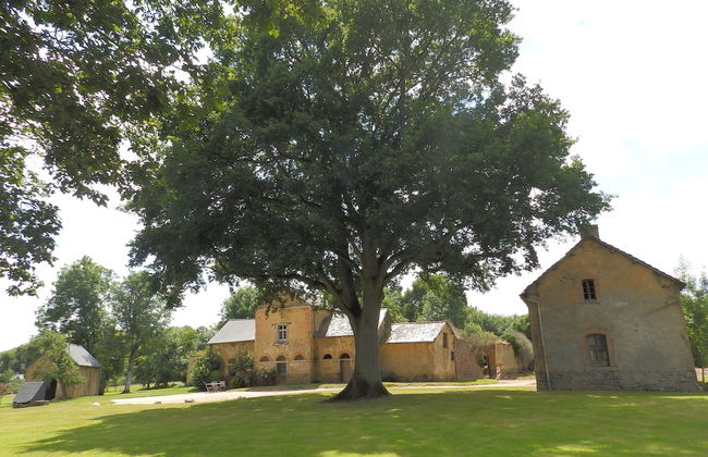 Château du Pin - Foto 63