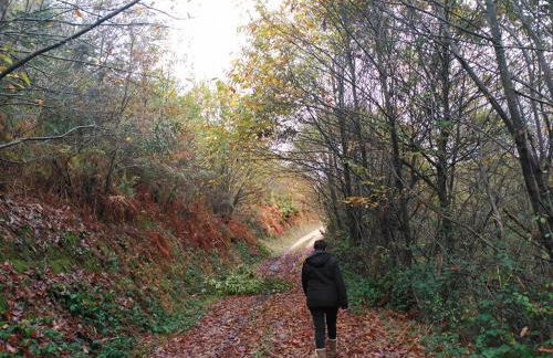 Apartamentos Casa de Riba - Foto 15