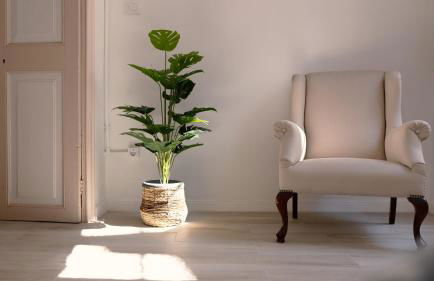 Villa Santa Anna Blanes Centro 60 metros Playa - Foto 15