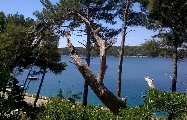 Studio Tina - Foto 1