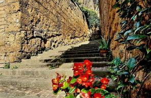 Una pausa dalla città - Foto 49