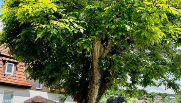 FEWO Unterm Stein - Schneewittchen - 2 Schlafzimmer - Foto 2