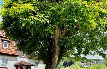 FEWO Unterm Stein - Schneewittchen - 2 Schlafzimmer - Foto 2
