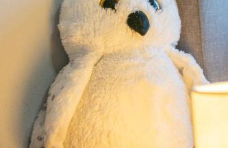 Water View Pool Home Near Disney - Foto 73