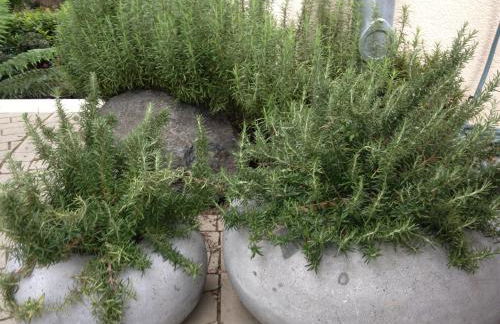 Webergarten - Foto 41