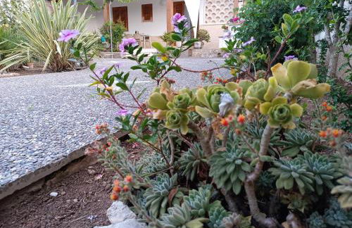 il giardino di Sofia Charm and Comfort Apartment - Foto 45