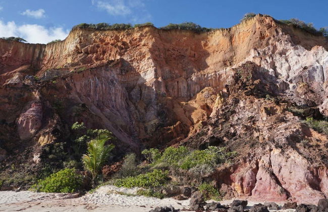 Escursione alle spiagge di Carapibus, Tabatinga e Bela - Foto 5