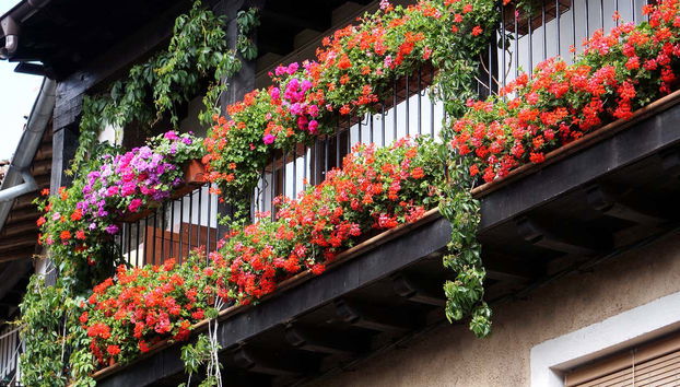 Tour in Mogarraz - Photo 2