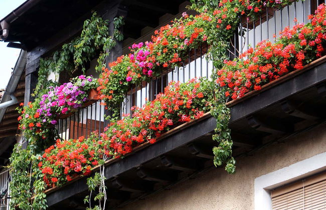 Tour in Mogarraz - Foto 2