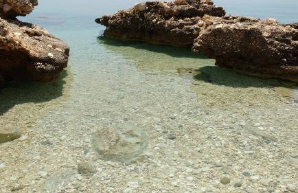 Apartments Bassi - Foto 51