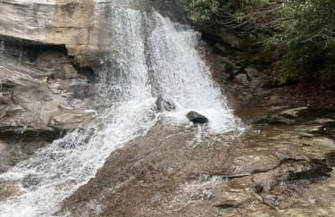 Beech Mountain Swiss-style Chalet - Foto 43