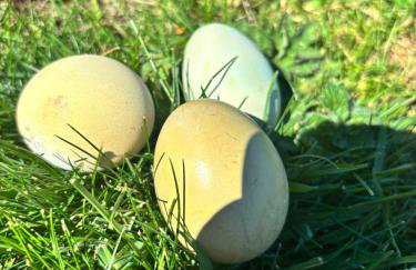 The Captain's Place - Isle of Skye - Foto 21