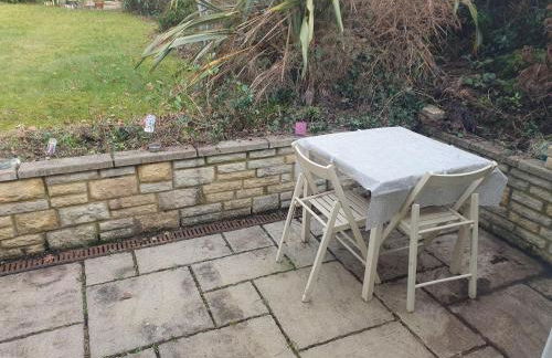 Little Dragons - Photo 13