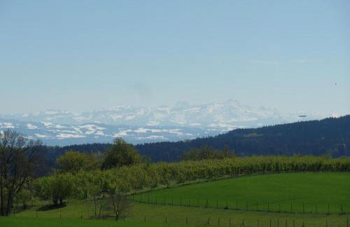 Ferienwohnung Igel - Foto 19