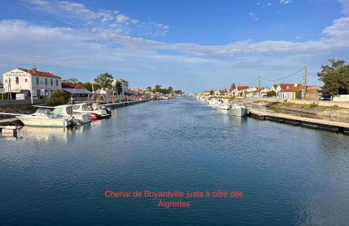 Les aigrettes - Foto 1