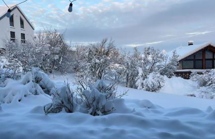 Seefelder Berge und Seen Appartements - Foto 28