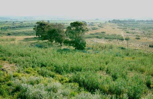 Il Canneto di Selinunte - Foto 45