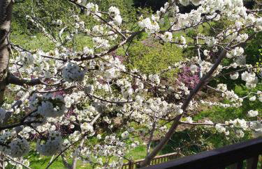 House in the Forest - Foto 35