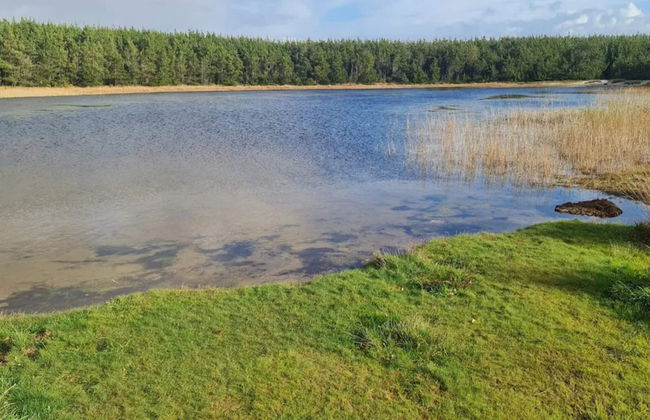 8 Person Holiday Home in Ulfborg - Foto 23