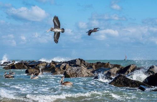 Island-Life! A - Foto 41