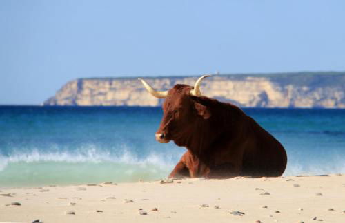 Casa ad Mare - Lujo & confort de hotel en villa privada - Foto 61