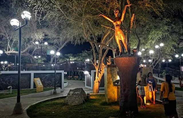 Ica Night Tour - Foto 4