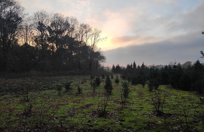 Charming Holiday Home With a Covered Terrace - Foto 36